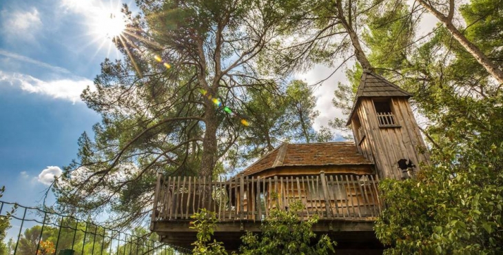 La cabane du grand pin