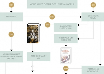 Quel livre devez-vous offrir à Noël