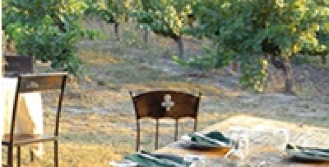 L'huître et la vigne