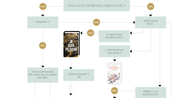 Quel livre devez-vous offrir à Noël