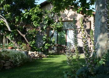 Massage et pédicure dans un jardin