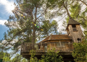 La cabane du grand pin